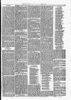 Maryport Advertiser Friday 06 July 1866 Page 4