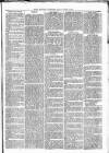 Maryport Advertiser Friday 13 August 1869 Page 5