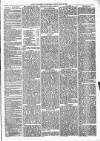 Maryport Advertiser Friday 15 April 1870 Page 3