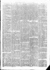 Maryport Advertiser Friday 10 February 1871 Page 5