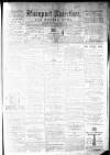 Maryport Advertiser Friday 03 January 1873 Page 1