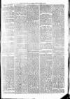 Maryport Advertiser Friday 31 January 1873 Page 3