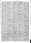 Maryport Advertiser Friday 13 November 1874 Page 3