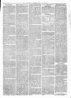 Maryport Advertiser Friday 05 March 1875 Page 7