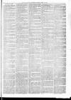 Maryport Advertiser Friday 12 March 1875 Page 3