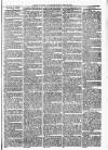 Maryport Advertiser Friday 30 April 1875 Page 3