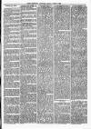 Maryport Advertiser Friday 13 August 1875 Page 3
