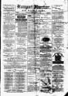 Maryport Advertiser Friday 10 March 1876 Page 1