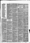 Maryport Advertiser Friday 17 March 1876 Page 7