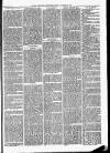 Maryport Advertiser Friday 25 January 1878 Page 5