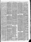 Maryport Advertiser Friday 22 February 1878 Page 5