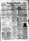 Maryport Advertiser Friday 07 February 1879 Page 1