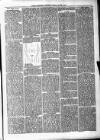 Maryport Advertiser Friday 07 March 1879 Page 3