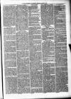 Maryport Advertiser Friday 07 March 1879 Page 5