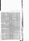 Maryport Advertiser Friday 19 March 1880 Page 5