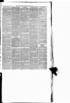 Maryport Advertiser Friday 18 June 1880 Page 5