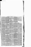 Maryport Advertiser Friday 25 June 1880 Page 5