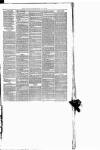 Maryport Advertiser Friday 30 July 1880 Page 7