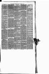 Maryport Advertiser Friday 17 September 1880 Page 5