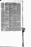 Maryport Advertiser Friday 17 September 1880 Page 7