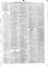 Henley & South Oxford Standard Saturday 25 April 1885 Page 3