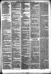 Henley & South Oxford Standard Saturday 10 April 1886 Page 3