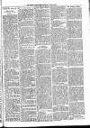 Henley & South Oxford Standard Saturday 30 May 1891 Page 3