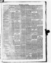 Wigton Advertiser Saturday 25 July 1874 Page 3