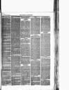 Wigton Advertiser Saturday 26 February 1881 Page 3