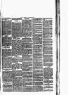 Wigton Advertiser Saturday 18 June 1881 Page 7