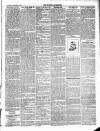 Wigton Advertiser Saturday 15 January 1887 Page 5