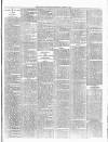 Wigton Advertiser Saturday 05 January 1895 Page 6