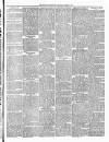 Wigton Advertiser Saturday 08 June 1895 Page 3