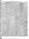 Wigton Advertiser Saturday 15 June 1895 Page 3
