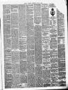 Soulby's Ulverston Advertiser and General Intelligencer Thursday 09 January 1862 Page 3