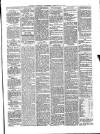 Soulby's Ulverston Advertiser and General Intelligencer Thursday 26 February 1880 Page 5