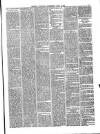 Soulby's Ulverston Advertiser and General Intelligencer Thursday 08 April 1880 Page 3