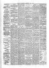 Soulby's Ulverston Advertiser and General Intelligencer Thursday 02 June 1881 Page 5