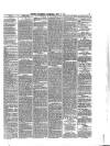 Soulby's Ulverston Advertiser and General Intelligencer Thursday 11 June 1885 Page 3