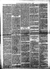 Millom Gazette Saturday 14 January 1893 Page 3