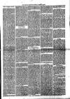 Millom Gazette Saturday 25 March 1893 Page 3