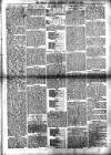 Millom Gazette Saturday 25 August 1894 Page 5