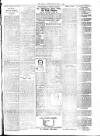 Millom Gazette Friday 05 May 1899 Page 4