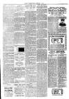 Millom Gazette Friday 09 February 1900 Page 3
