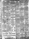 Millom Gazette Friday 13 April 1917 Page 3