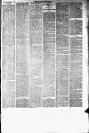 Lakes Herald Friday 26 June 1885 Page 3