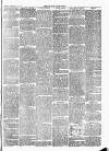 Lakes Herald Friday 18 January 1889 Page 7