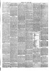 Lakes Herald Friday 15 August 1890 Page 3