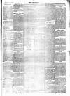 Lakes Herald Friday 01 January 1904 Page 5