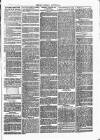 Henley Advertiser Saturday 08 October 1870 Page 7